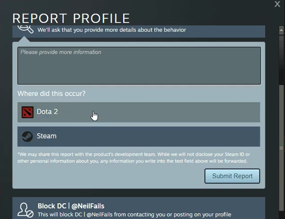 report profile Dota 2