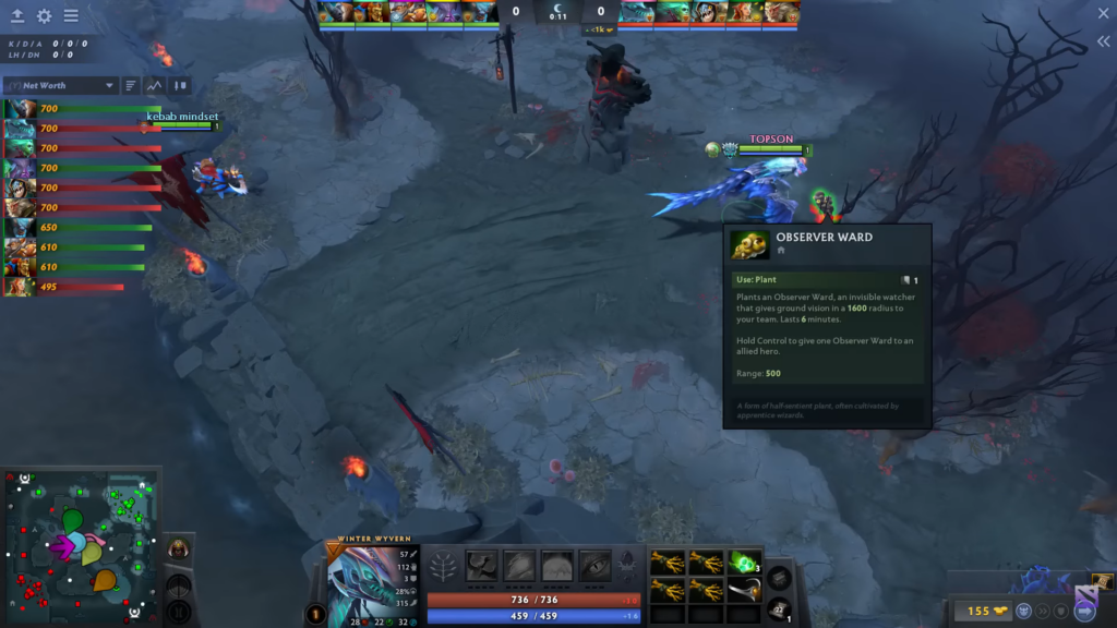 observer ward in Dota 2