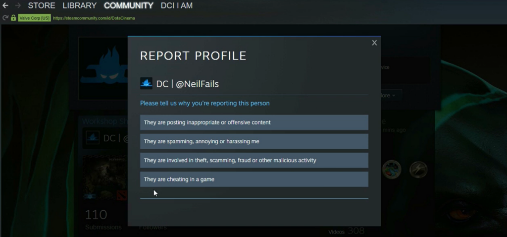 report profile in Dota 2